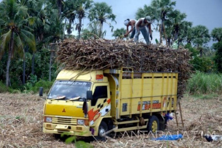 Target Produksi Gula