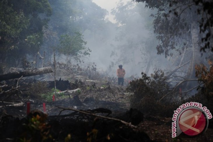 Sebaran Titik Api di Kalbar