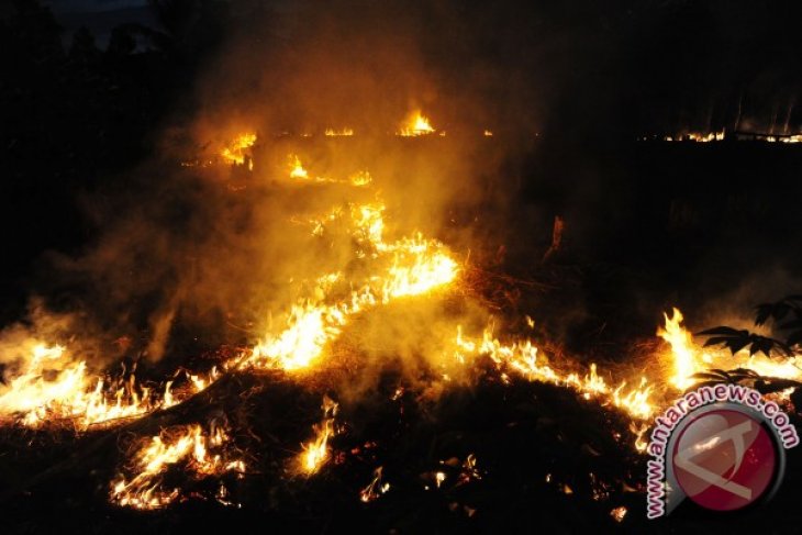 Bakar Lahan Untuk Bertani