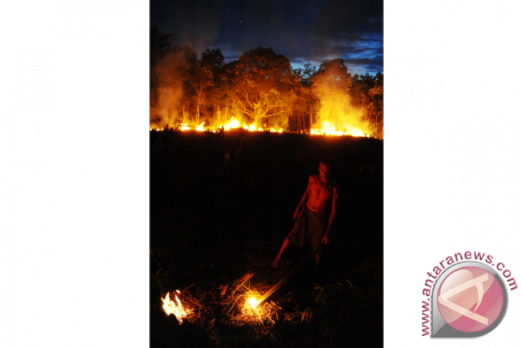 Bakar Lahan Untuk Bertani