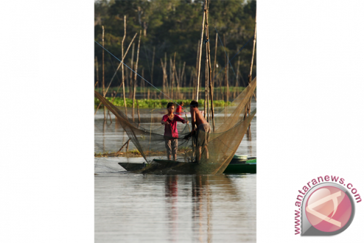 Danau Menjadi Sumber Pangan