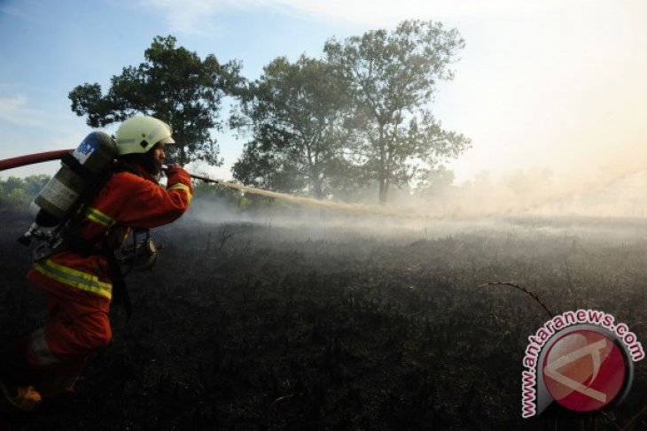 Kebakaran Lahan di Pontianak