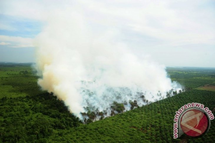 Peningkatan Titik Api di Kalbar