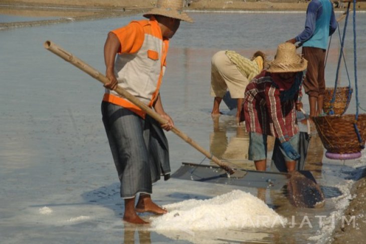 Harga Garam Madura Awal Musim