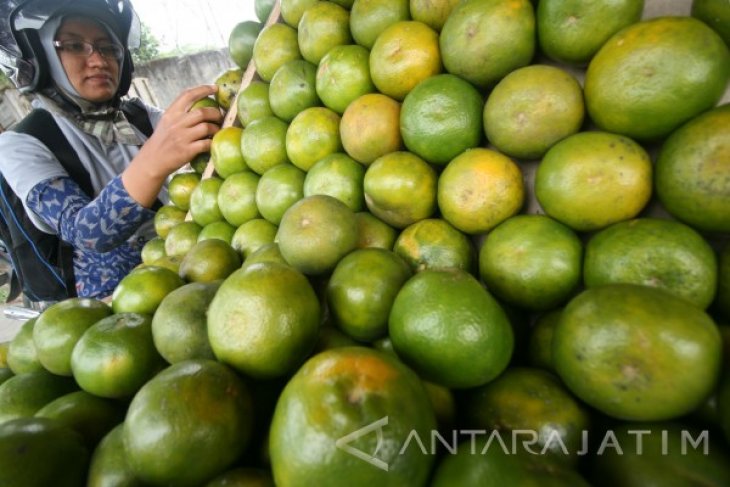 Harga Jeruk Lokal Naik