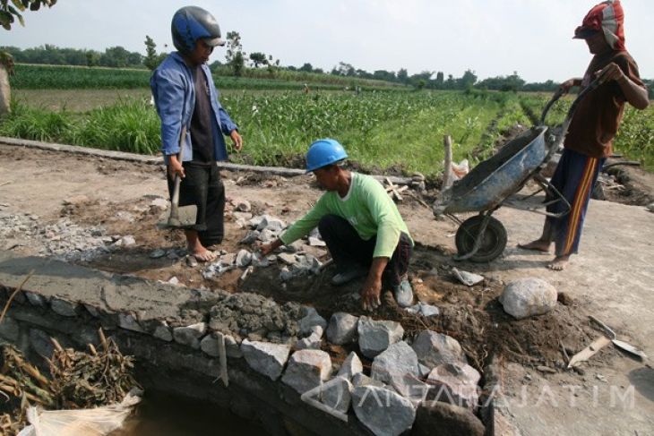 Pembangunan Jalan Usaha Tani