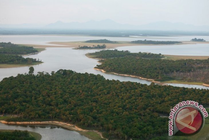 Danau Sentarum Mengering