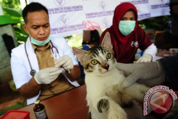 Kemenkes Salurkan Bantuan Antisipasi Rabies