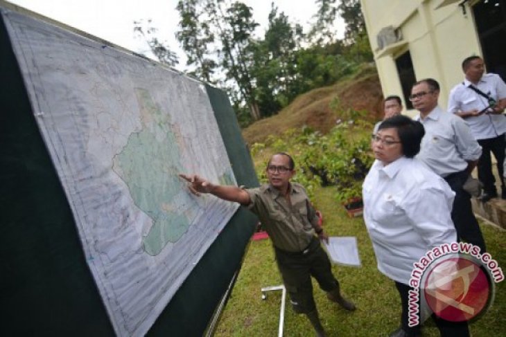 Target Restorasi Ekosistem Hutan Produksi