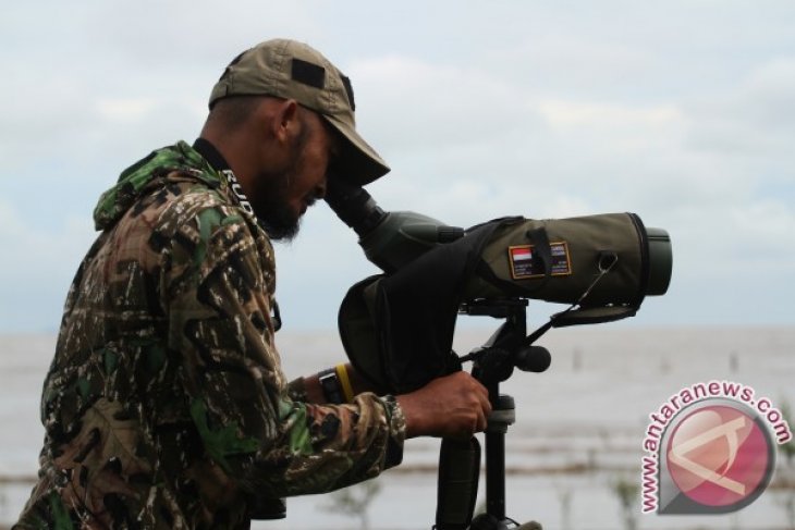 Survey Migrasi Burung Pantai