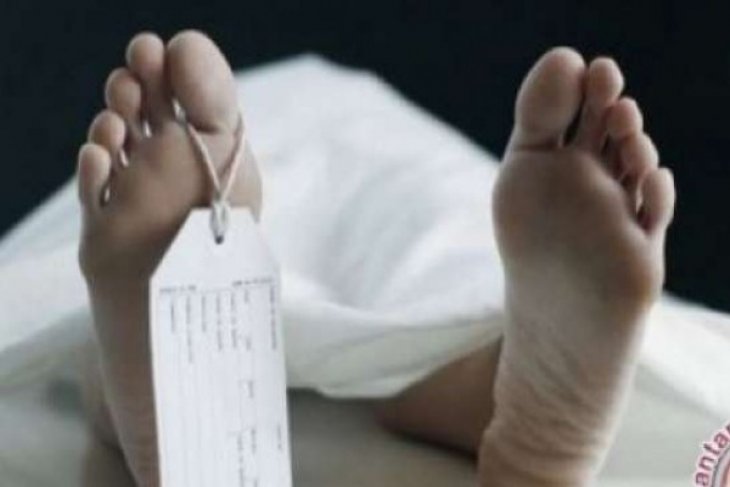 Warga Babalan temukan mayat di areal perkebunan kelapa sawit