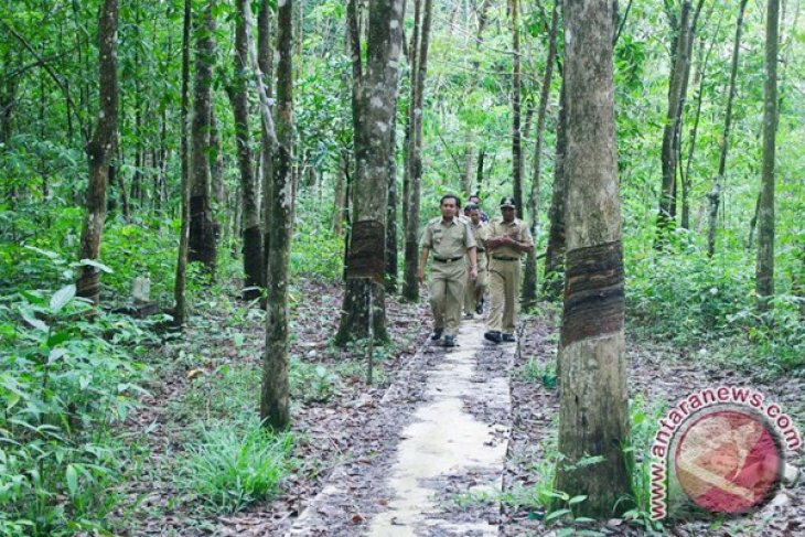 WABUP TINJAU JUT DAN PENANGKAP AIR LOKSADO