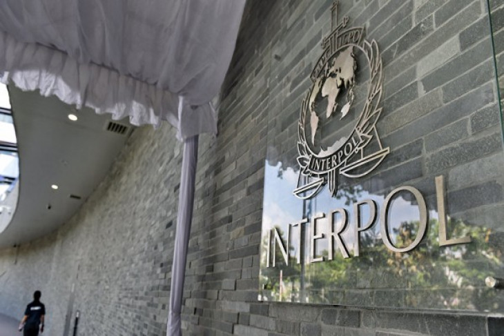 Palestinian diplomat denies Interpol membership controversy
