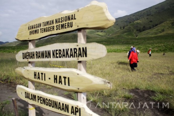 Padang Savana Gunung Bromo