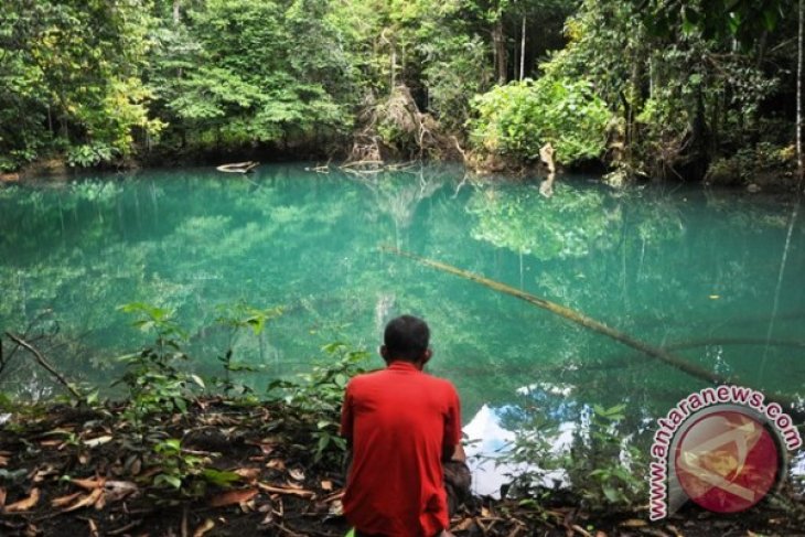 Ekspedisi Karst Merabu