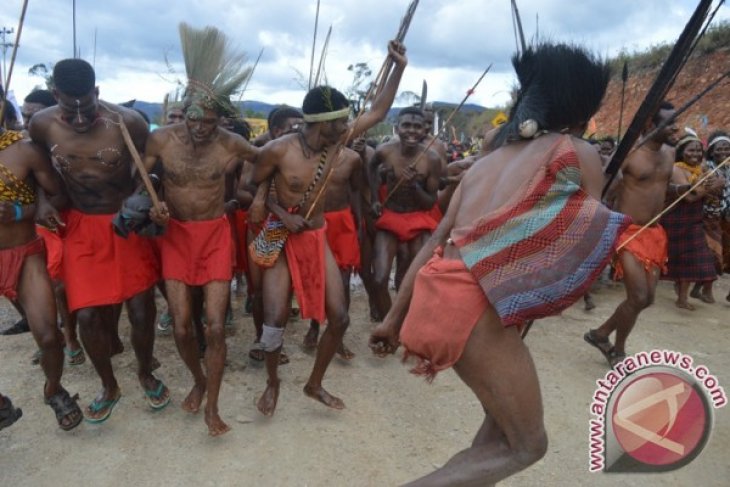 Tari Tumbuk Tanah Formasi Perang yang diperagakan Masyarakat Suku Arfak Papua barat