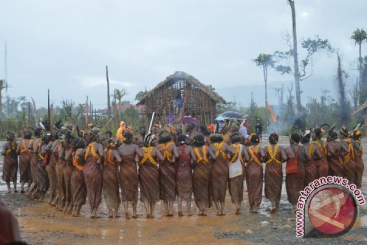 Tari Tumbuk Tanah dari beberapa Subsuku Arfak memeriahkan Festival Arfak, Sabtu 12 November 2016 
