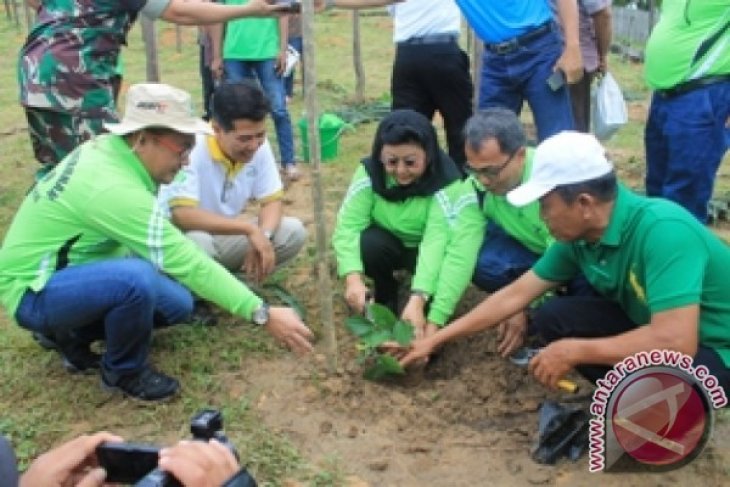 Kaltim Kembangkan Subsektor Perkebunan Dorong Transformasi Ekonomi