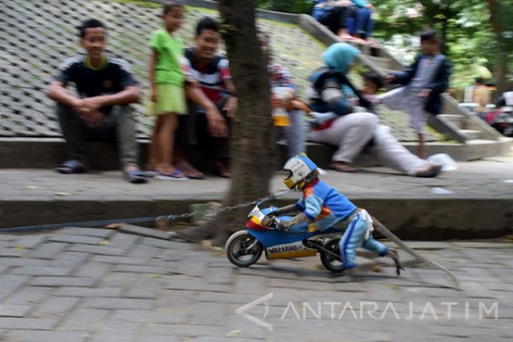 Pertunjukan Topeng Monyet