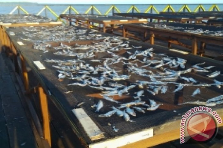 Pembangunan Tempat Penjemuran Ikan Di Penajam Rampung