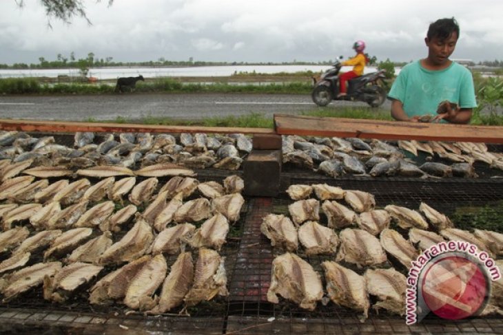 Produksi Ikan Kayu Terkendala Cuaca