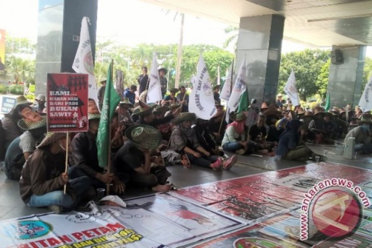 Petani Kaltim Demo Tuntut Pengembalian Lahan yang Dirampas