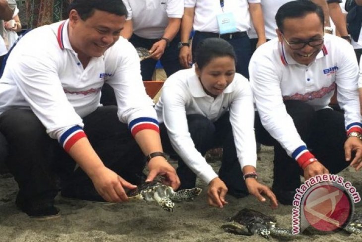 Menteri BUMN Melepasliarkan Penyu di Pantai Senggigi
