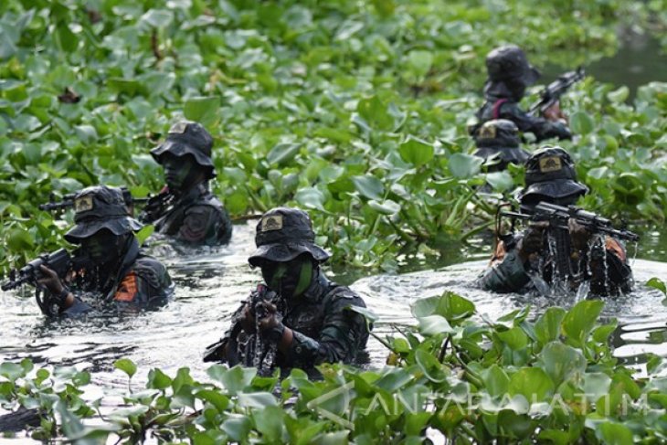 Patroli Rawa Intai Amfibi Marinir