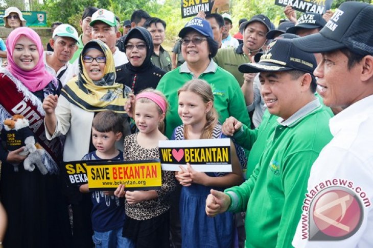 PENCINTA BEKANTAN 