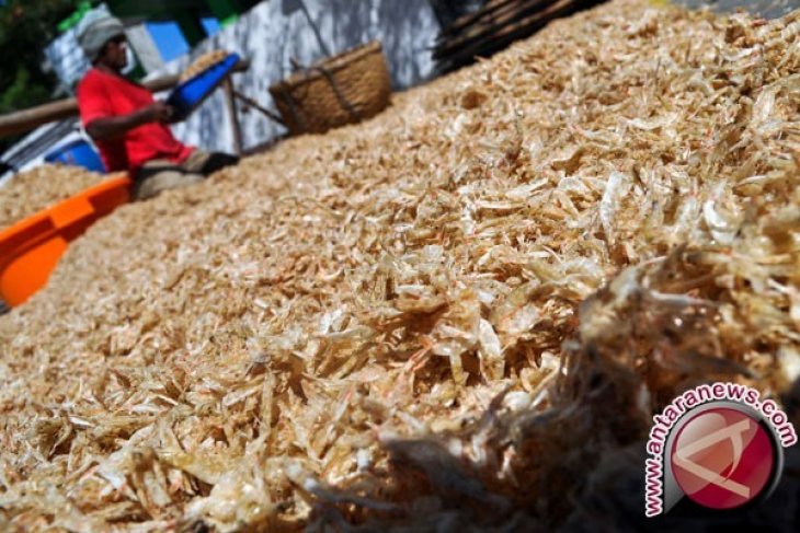 Kulit Udang Jadi Plastik Ramah Lingkungan
