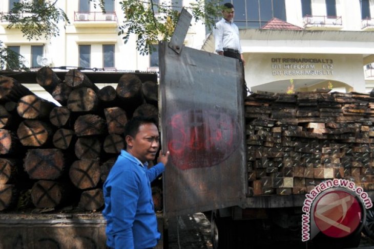 Penangkapan Kayu Ilegal Logging