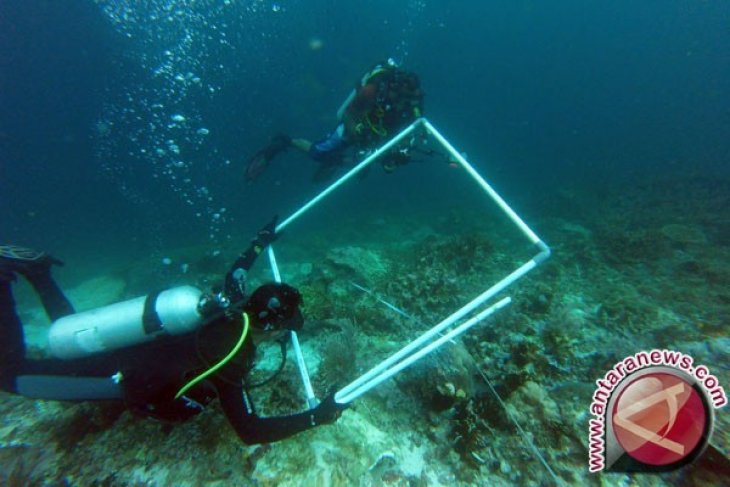 Pemerintah Ambil Langkah Tangani Kerusakan Raja Ampat
