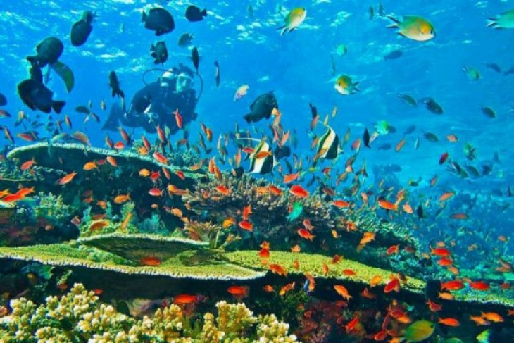 Papua to inaugurate Sawarkawafor undersea tourism attraction