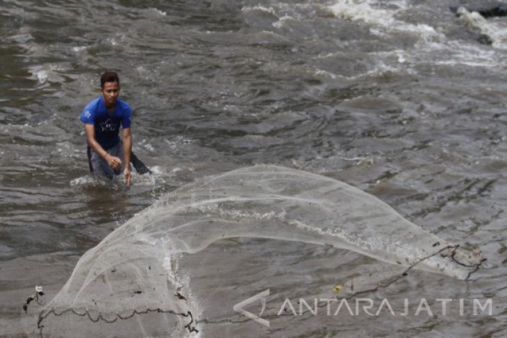 Pendangkalan DAS Brantas