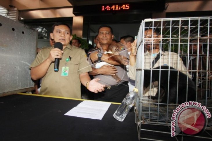 Pengungkapan Penjualan Satwa Langka