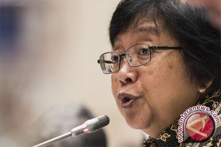 Menteri LHK minta waspadai kemarau panjang