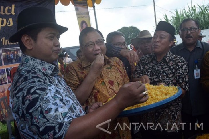 Menkop Dan UKM Panen Raya Jagung