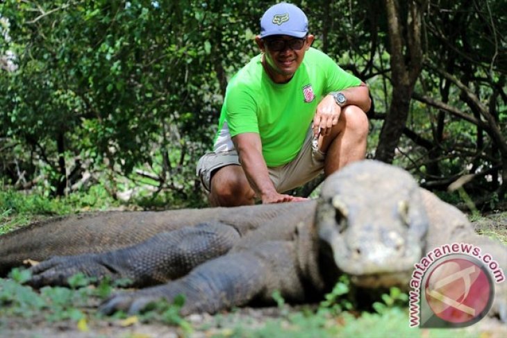 Layanan tiket berbasis aplikasi di Taman Nasional Komodo