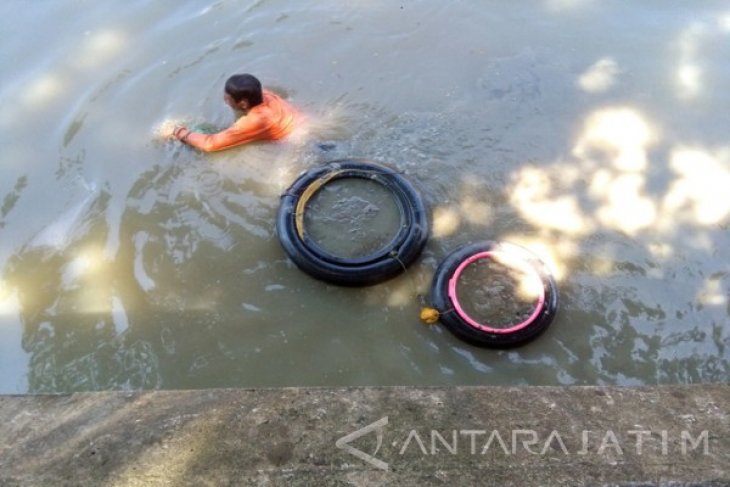 Pencari Cacing Sutra