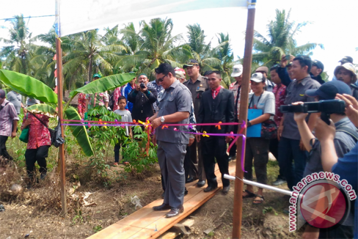 Budidaya Madu Kelulut