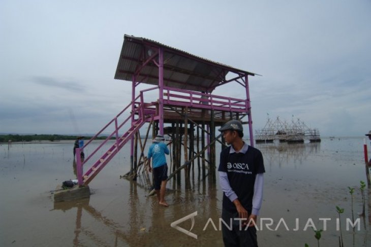 Gardu Wisata Mangrove