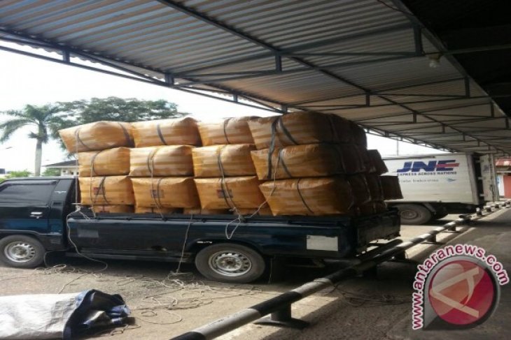 Udang belalang dominasi pengiriman produk perikanan Jambi