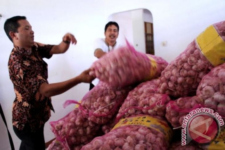 10 Ton Bawang Putih Tiba di Kalteng