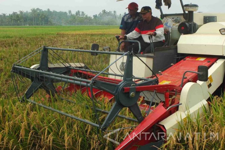 Produksi Padi Jember Tertinggi