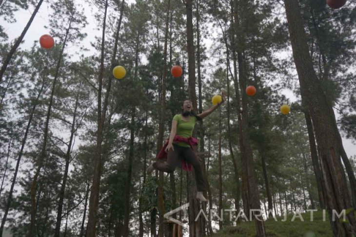 Wisata Hutan Pinus