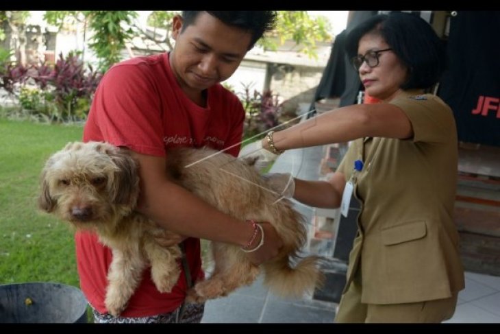 Distan Kota Singkawang vaksin 2.500 ekor anjing - ANTARA News