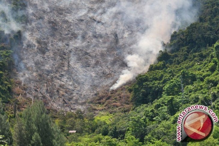 BMKG: 35 Titik Panas Terpantau di Aceh