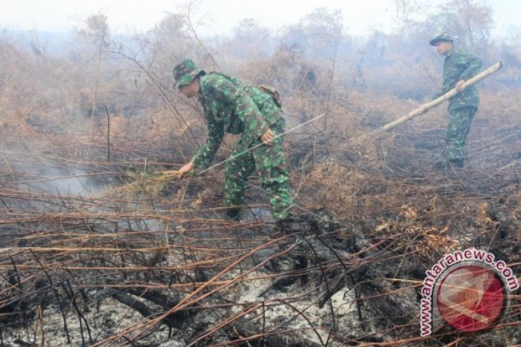 Kendala Pemadaman Lahan Gambut