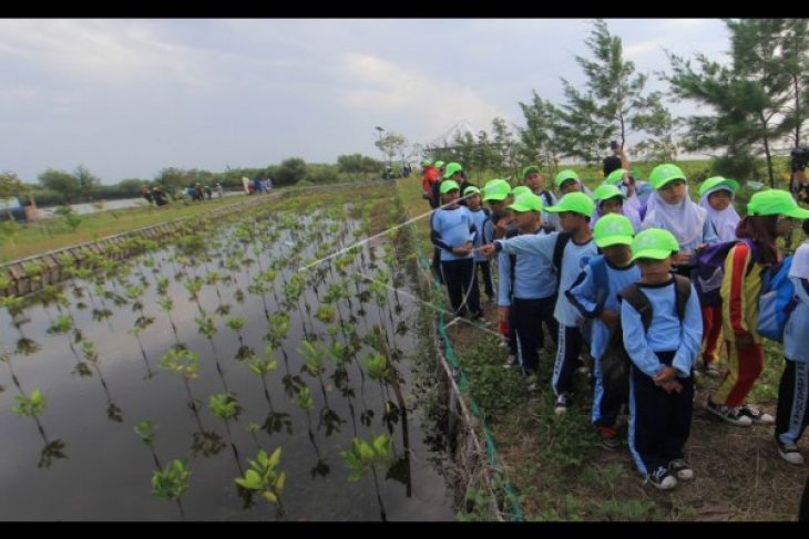 Sahabat Mangrove Pertamina