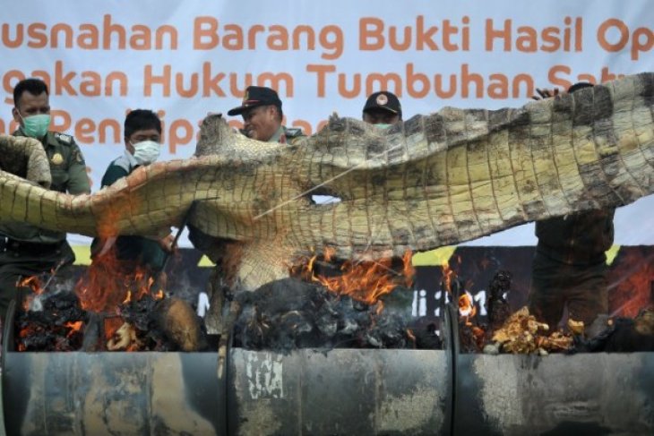 Pemusnahan Hasil Perdagangan Satwa Liar